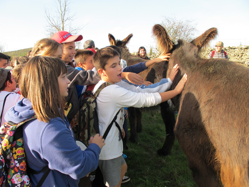 %_tempFileNameIMG_0039%