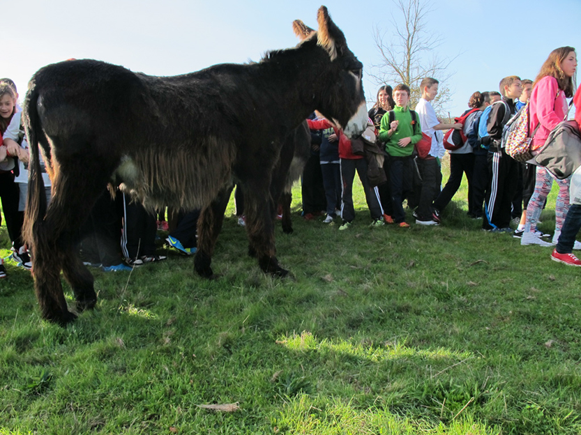 %_tempFileNameIMG_0040%