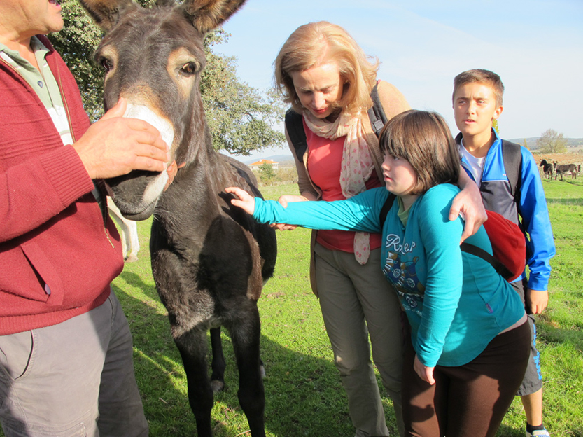 %_tempFileNameIMG_0042%