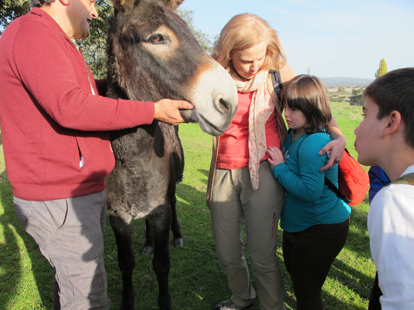 %_tempFileNameIMG_0043%