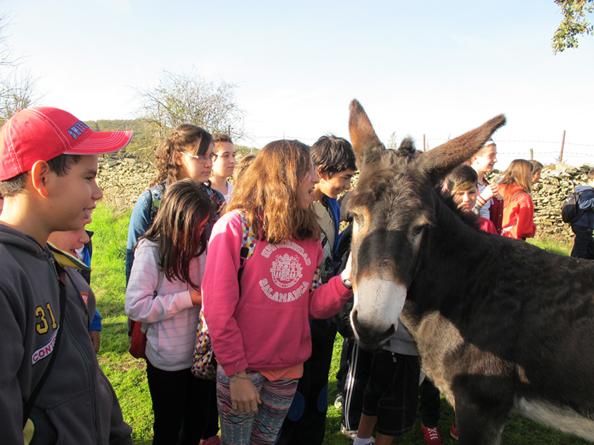 %_tempFileNameIMG_0047%