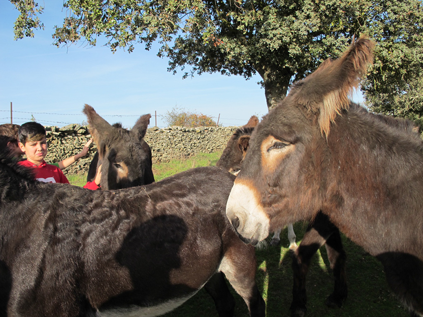 %_tempFileNameIMG_0048%