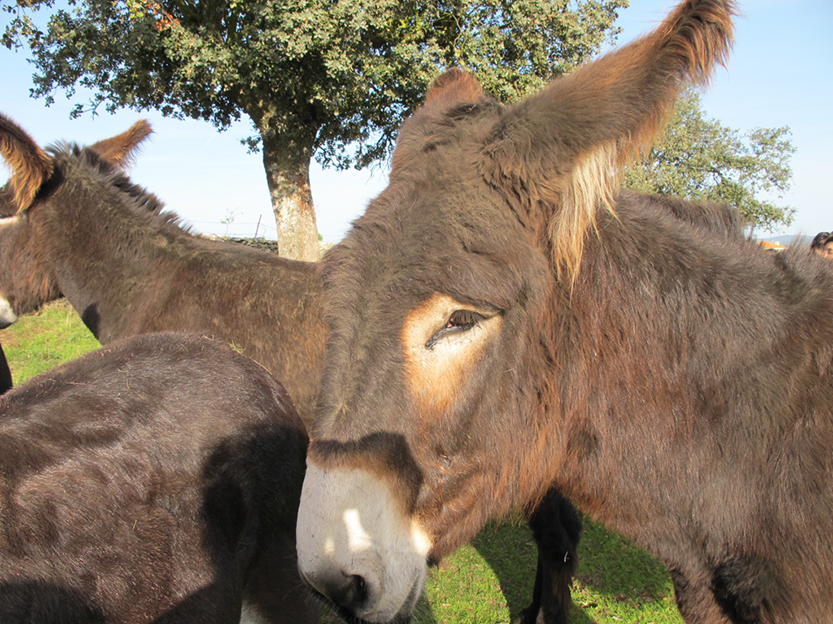 %_tempFileNameIMG_0049%