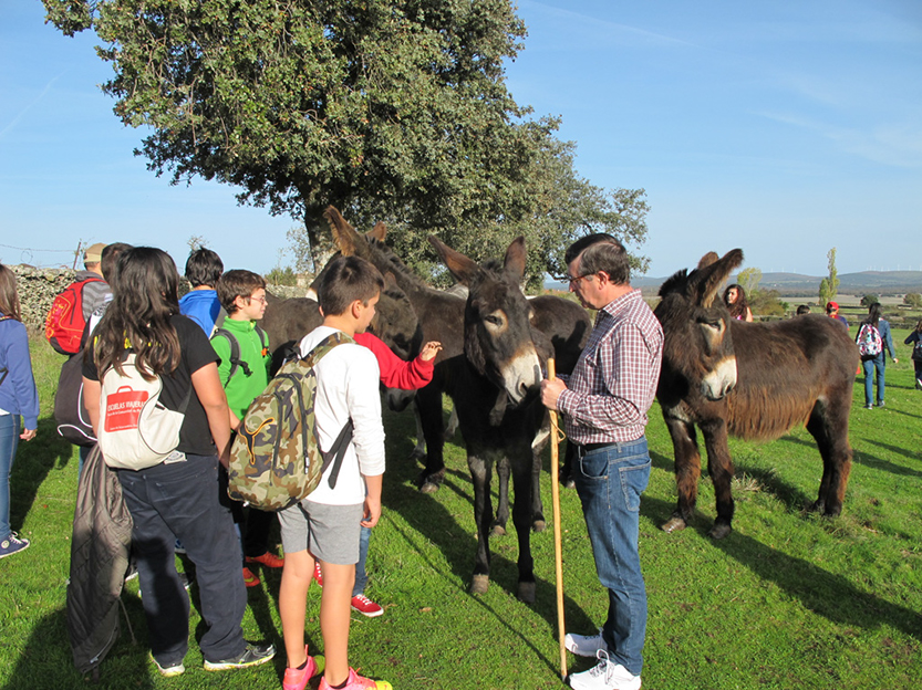 %_tempFileNameIMG_0050%