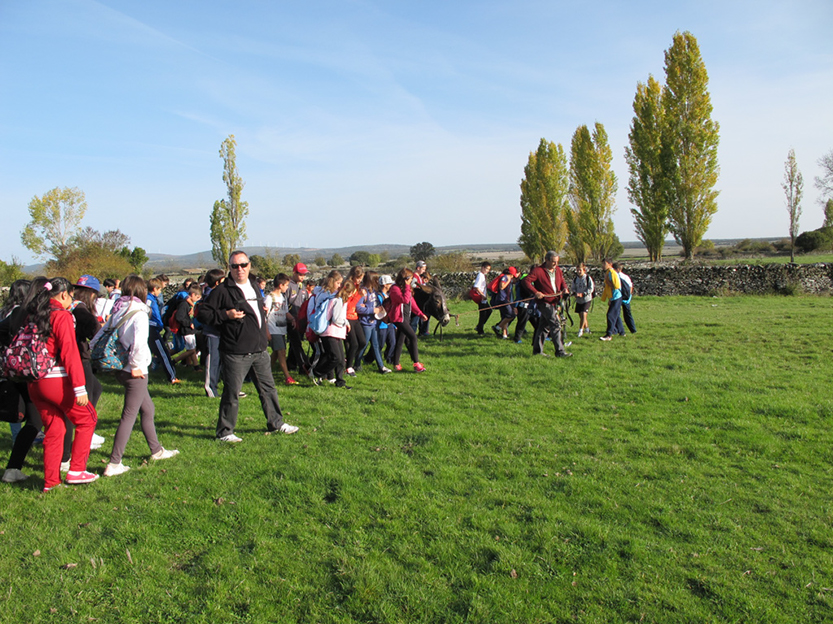 %_tempFileNameIMG_0056%