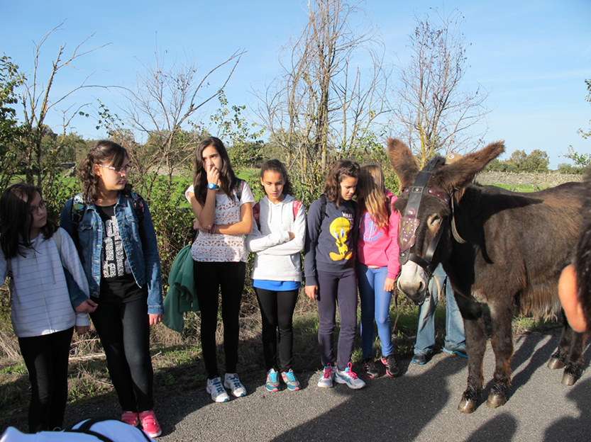 %_tempFileNameIMG_0060%