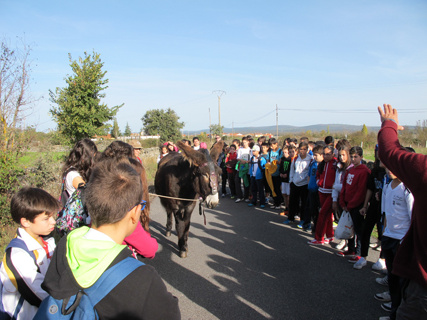 %_tempFileNameIMG_0062%