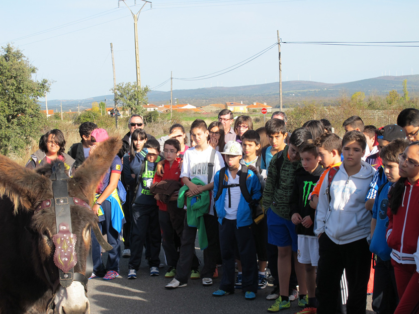 %_tempFileNameIMG_0063%