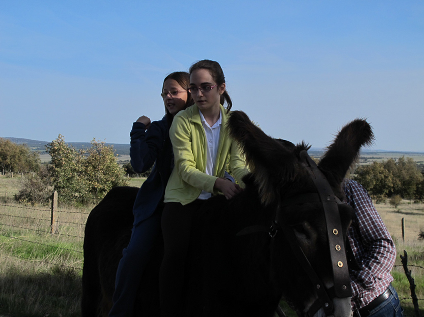 %_tempFileNameIMG_0070%