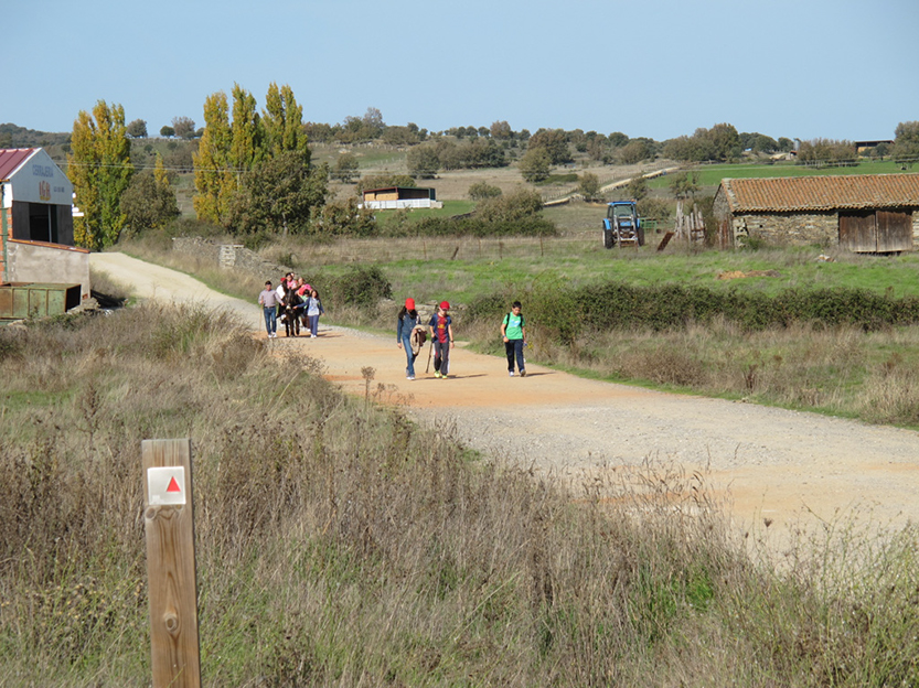 %_tempFileNameIMG_0074%