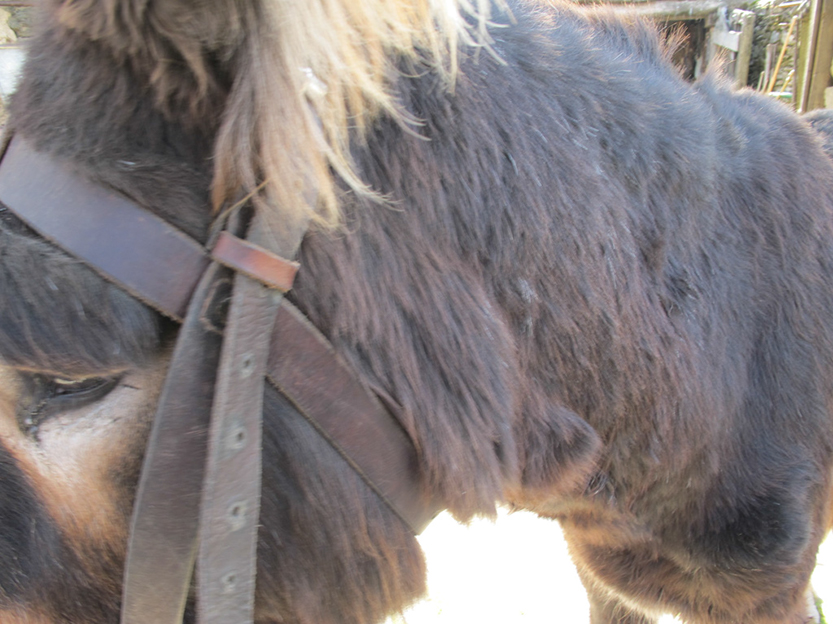 %_tempFileNameIMG_0092%