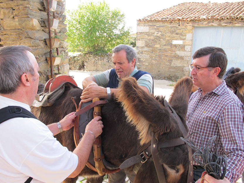 %_tempFileNameIMG_0094%