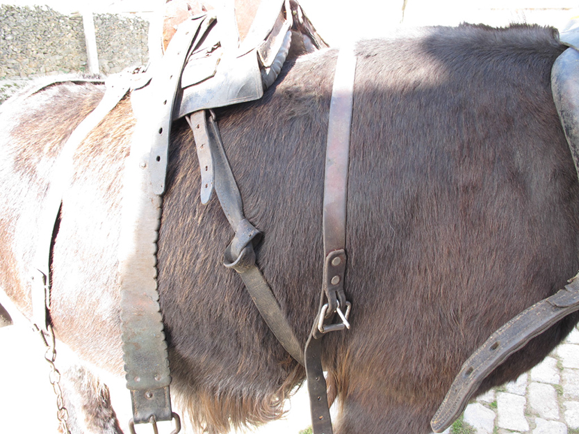 %_tempFileNameIMG_0096%