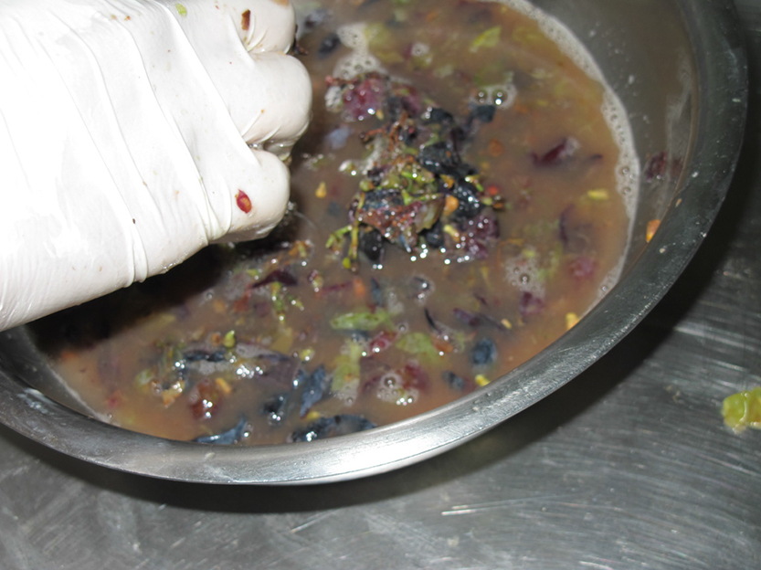 %_tempFileNameIMG_0135%