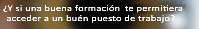 bie