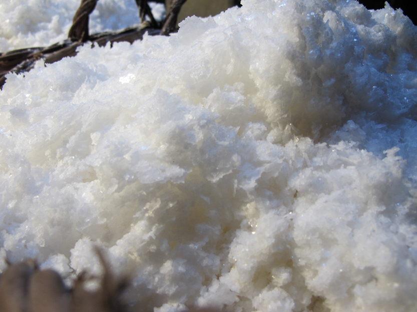 %_tempFileNameIMG_0555%