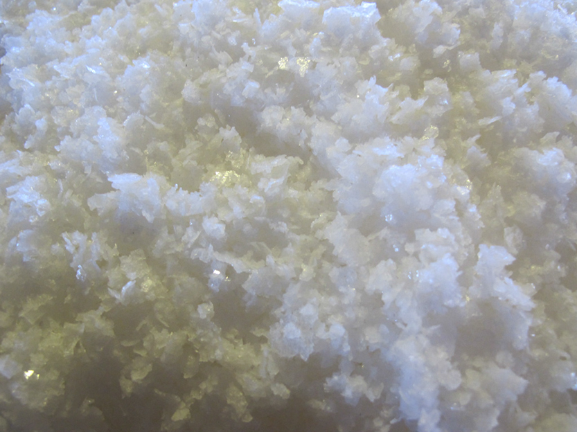 %_tempFileNameIMG_0556%