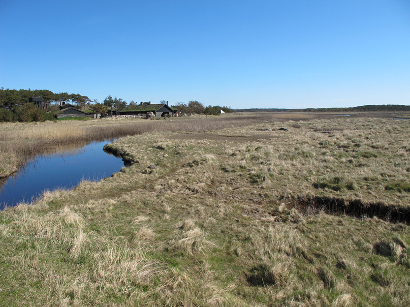 %_tempFileNameIMG_0559%