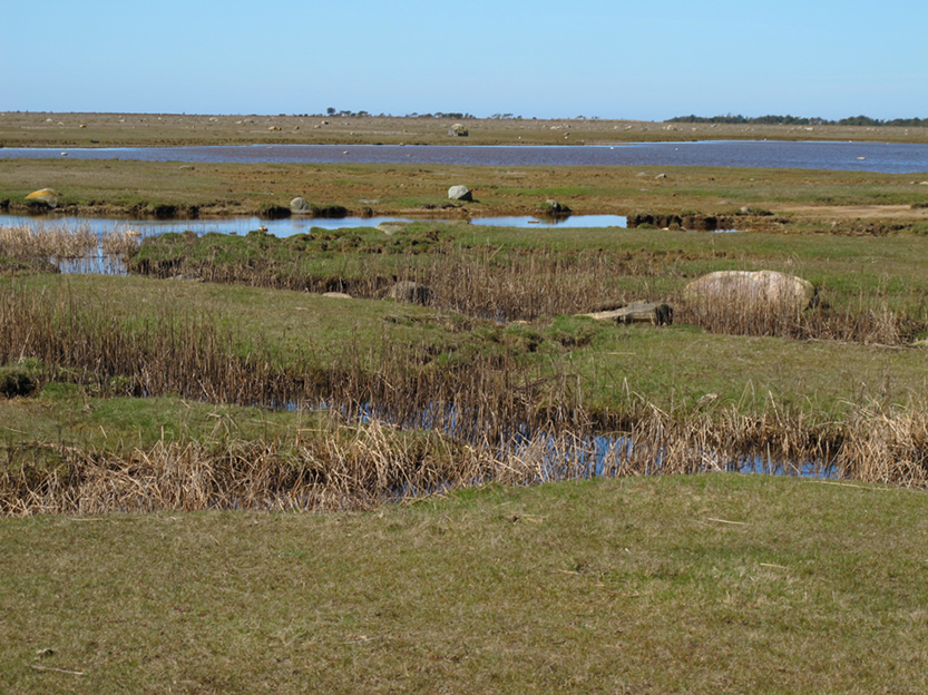 %_tempFileNameIMG_0560%