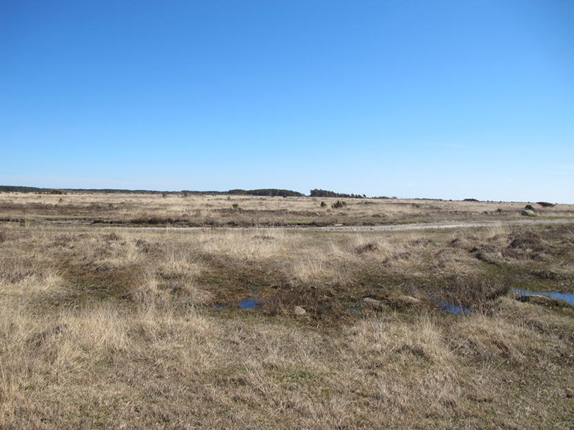 %_tempFileNameIMG_0563%