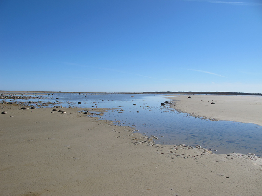 %_tempFileNameIMG_0565%