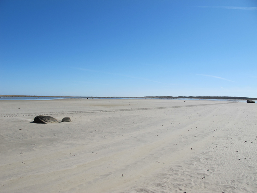 %_tempFileNameIMG_0566%