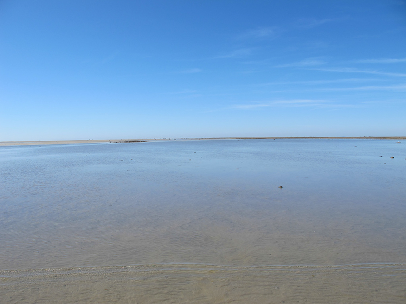 %_tempFileNameIMG_0567%