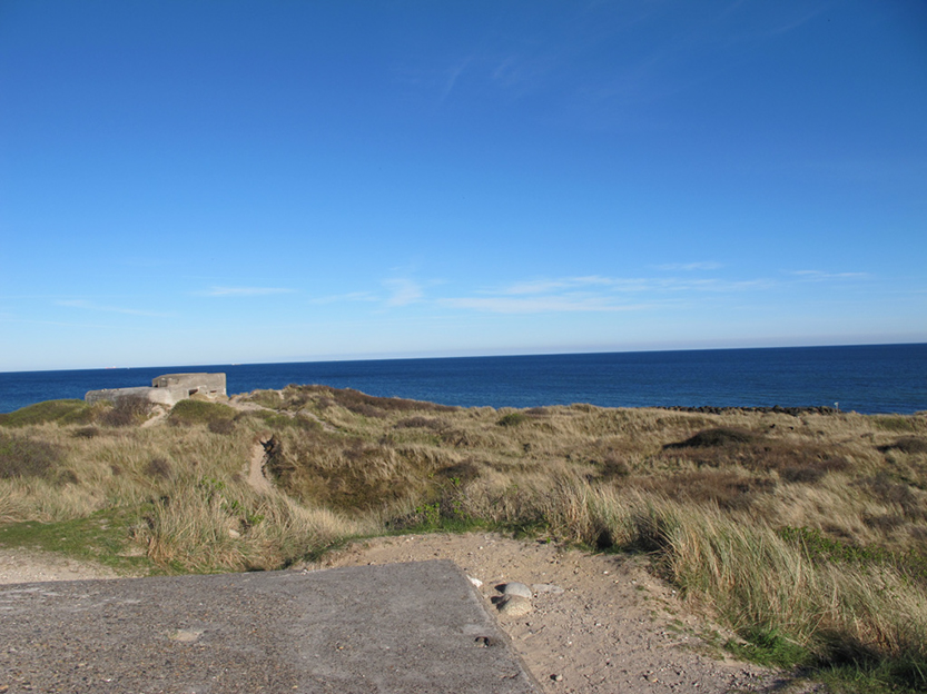 %_tempFileNameIMG_0586%