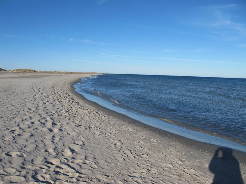 %_tempFileNameIMG_0594%