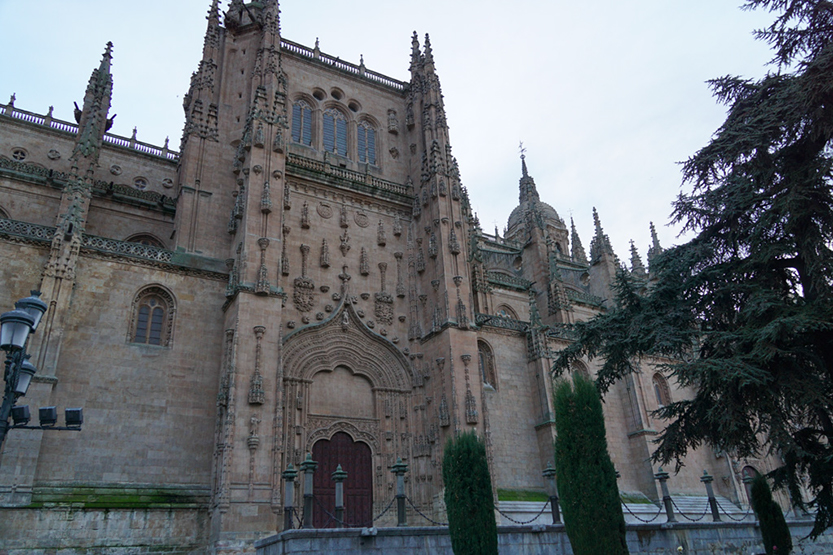 %_tempFileNamedsc04007%