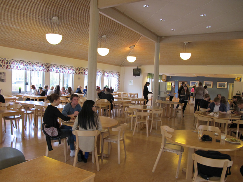 %_tempFileNameIMG_0619%