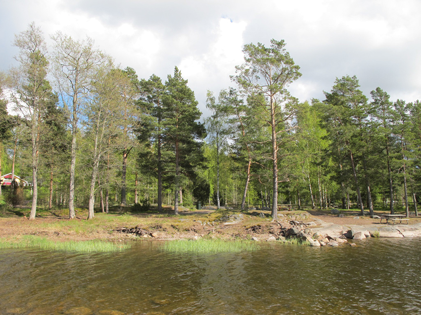 %_tempFileNameIMG_0691%