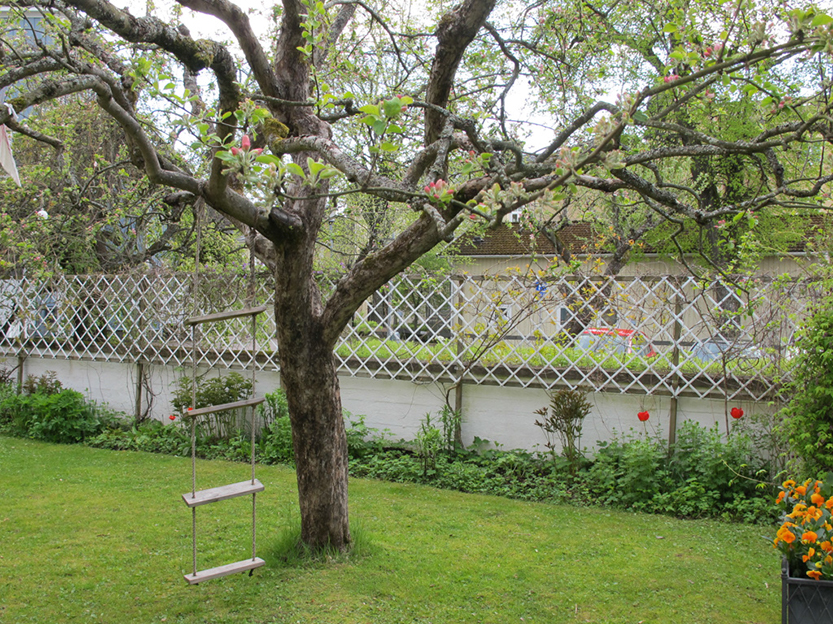 %_tempFileNameIMG_0762%