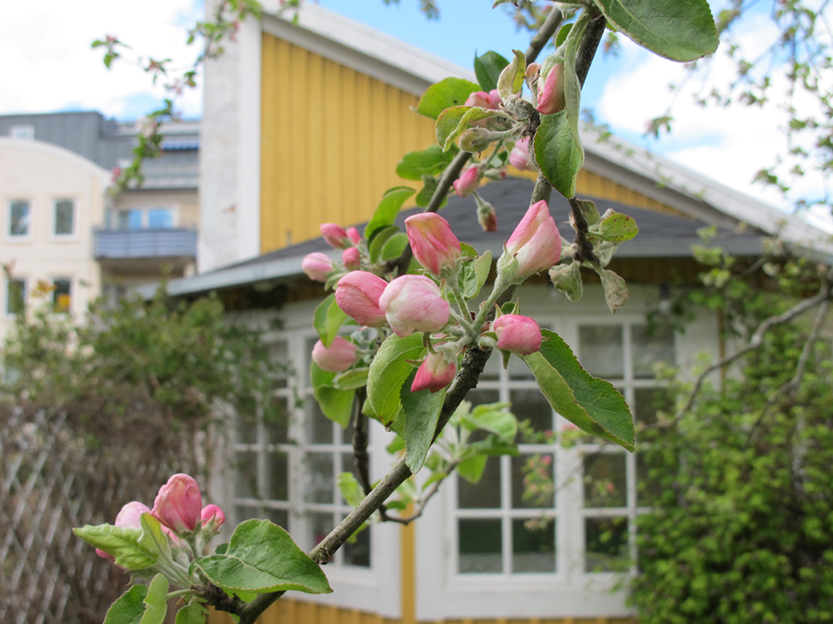 %_tempFileNameIMG_0766%