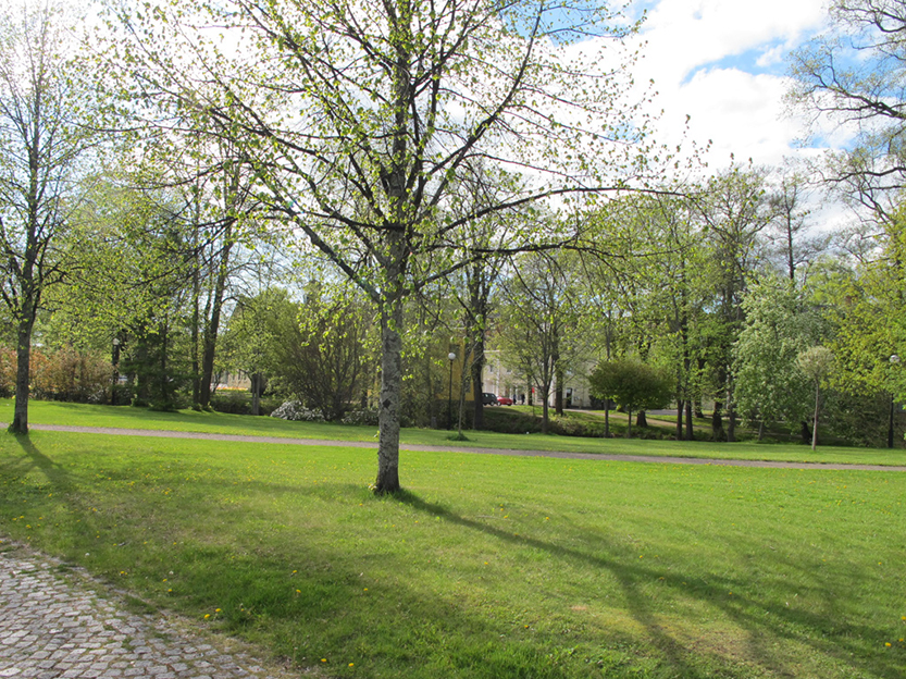 %_tempFileNameIMG_0777%