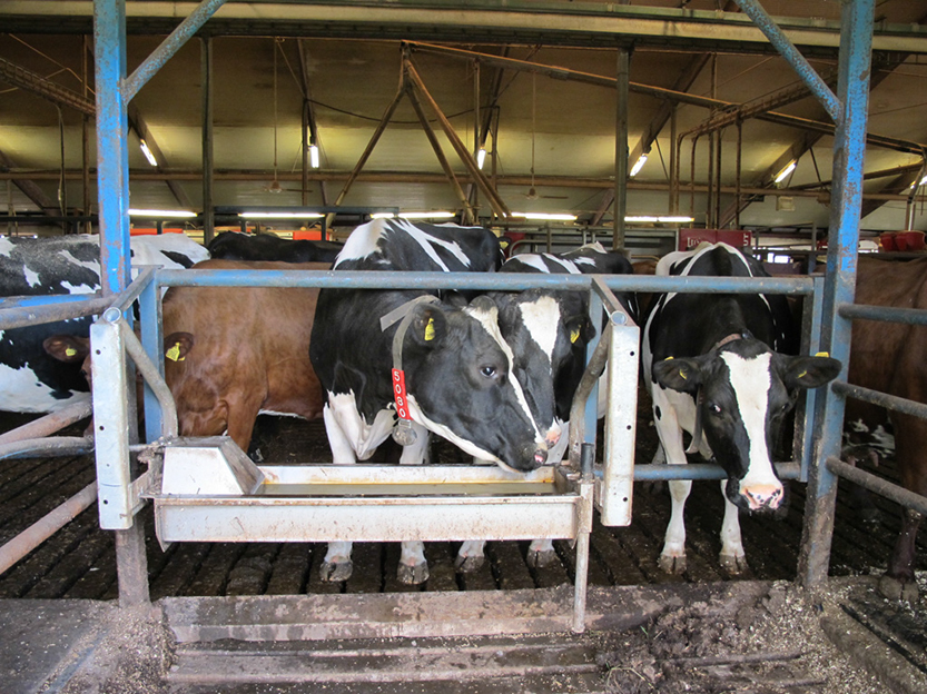 %_tempFileNameIMG_0783%