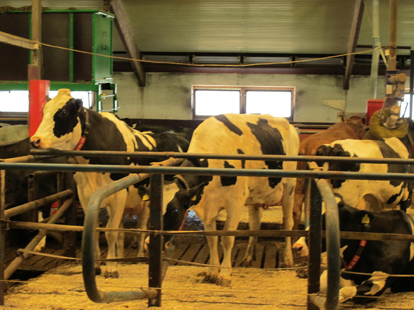 %_tempFileNameIMG_0785%