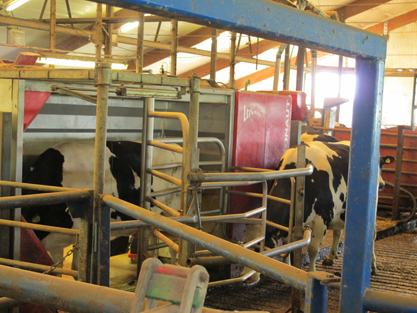 %_tempFileNameIMG_0786%