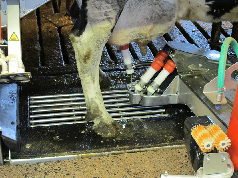 %_tempFileNameIMG_0787%