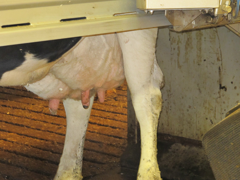 %_tempFileNameIMG_0789%