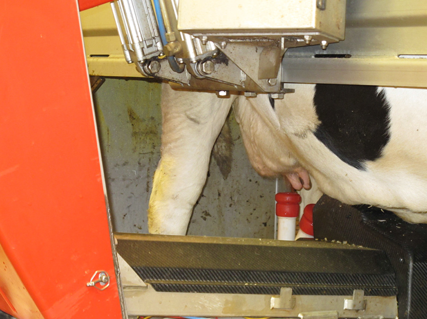 %_tempFileNameIMG_0790%