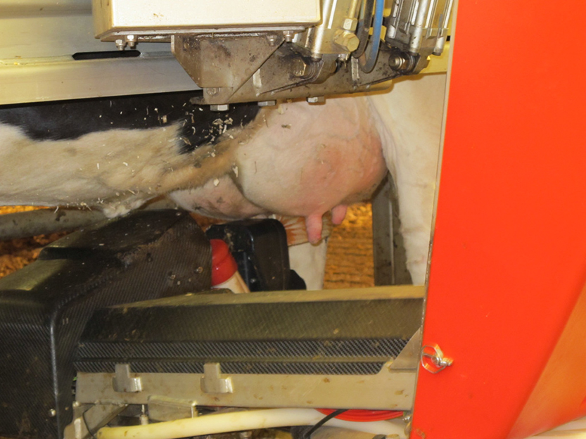 %_tempFileNameIMG_0791%