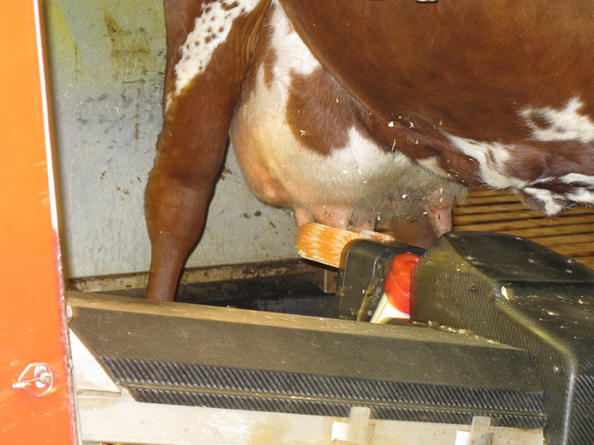 %_tempFileNameIMG_0793%