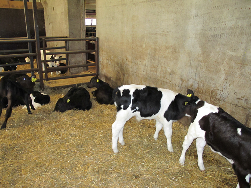 %_tempFileNameIMG_0795%