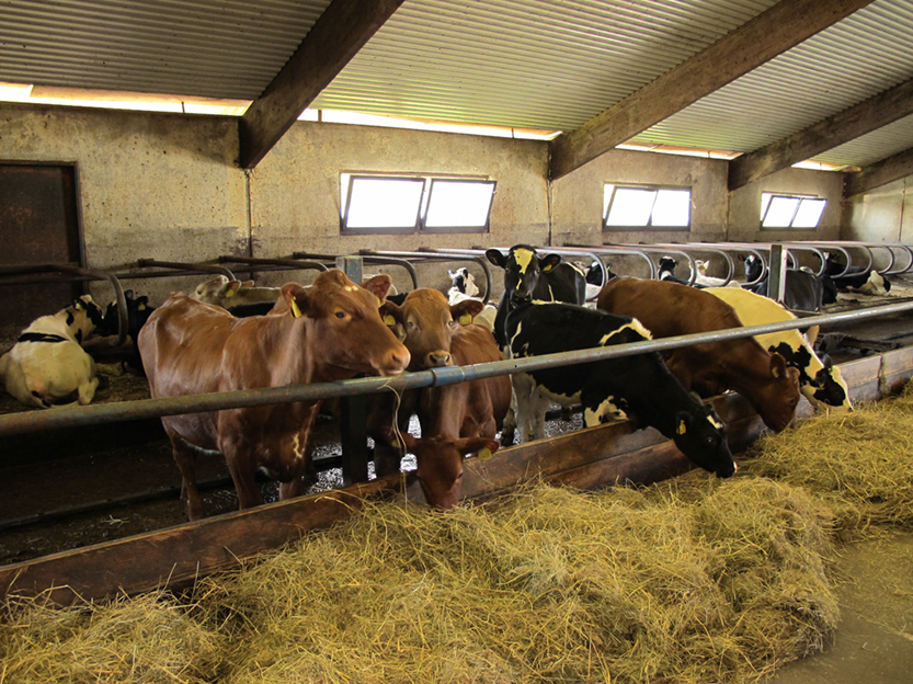 %_tempFileNameIMG_0796%