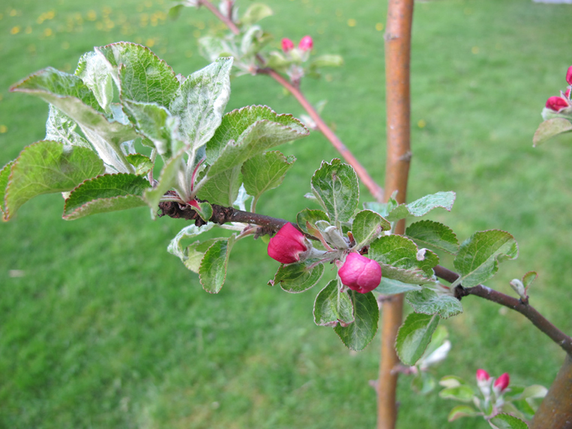 %_tempFileNameIMG_0813%