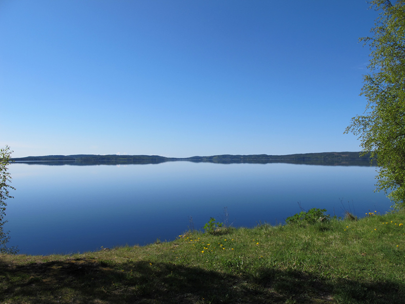 %_tempFileNameIMG_0838%