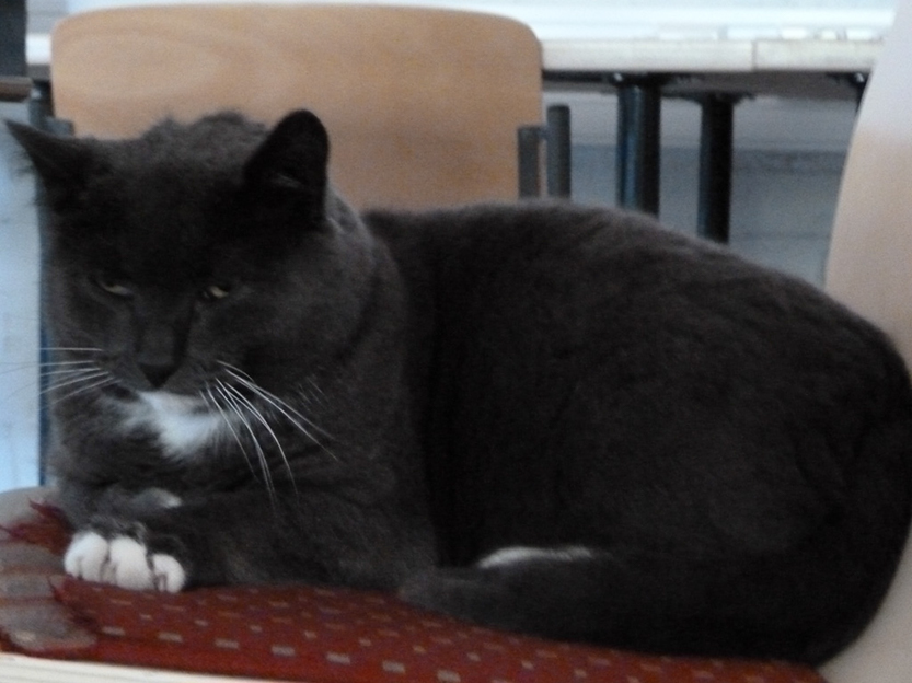 %_tempFileNameP1050310%