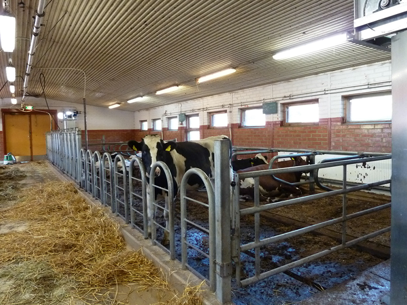 %_tempFileNameP1050314%