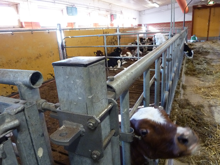 %_tempFileNameP1050317%